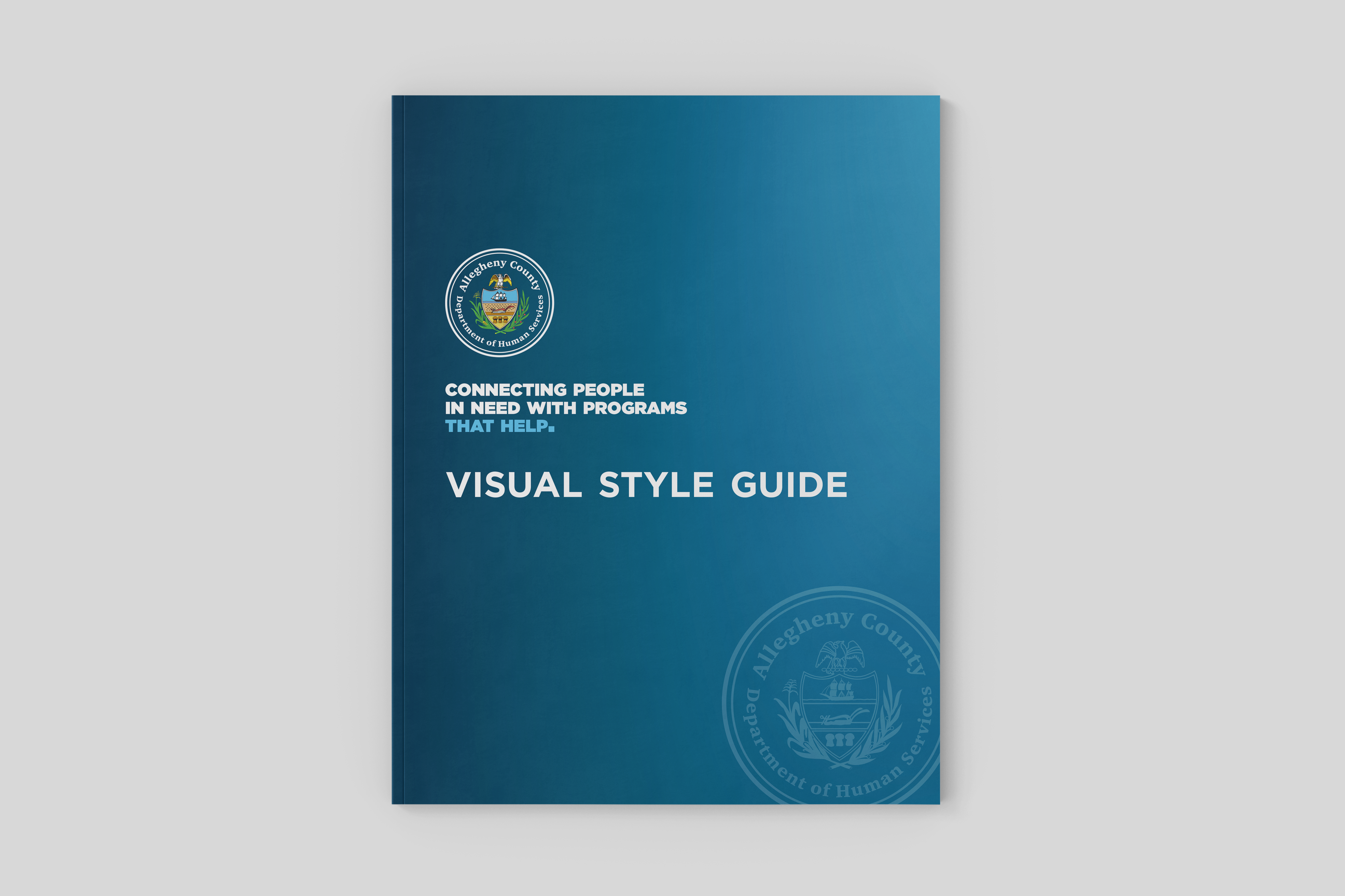 visual style guide