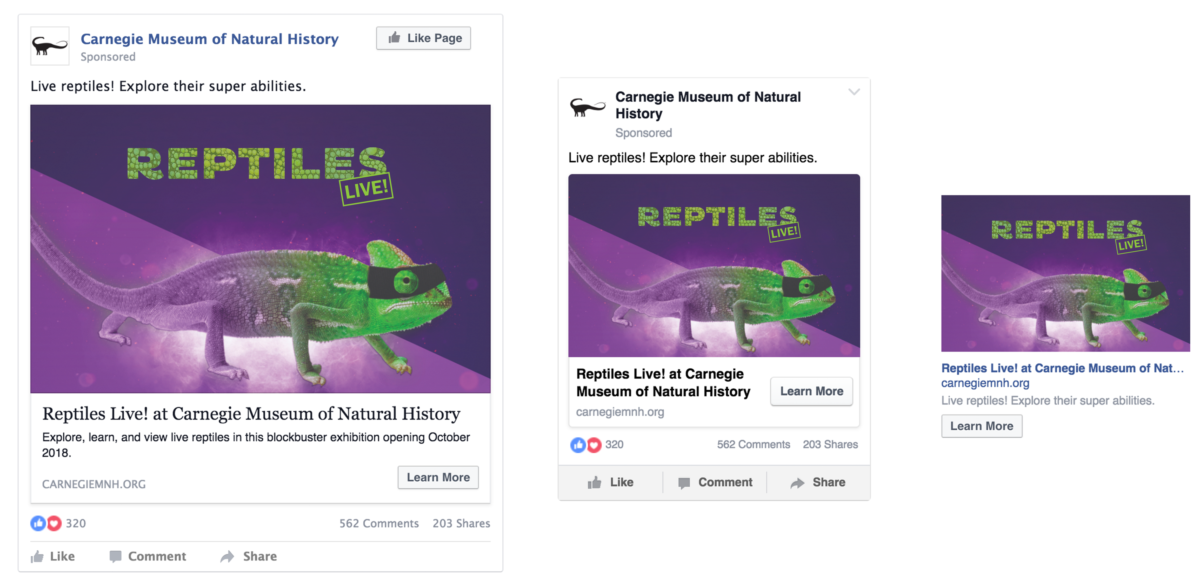 Reptile social media