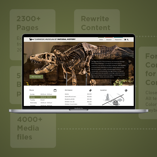 Carnegie Museum of Natural History website redesign