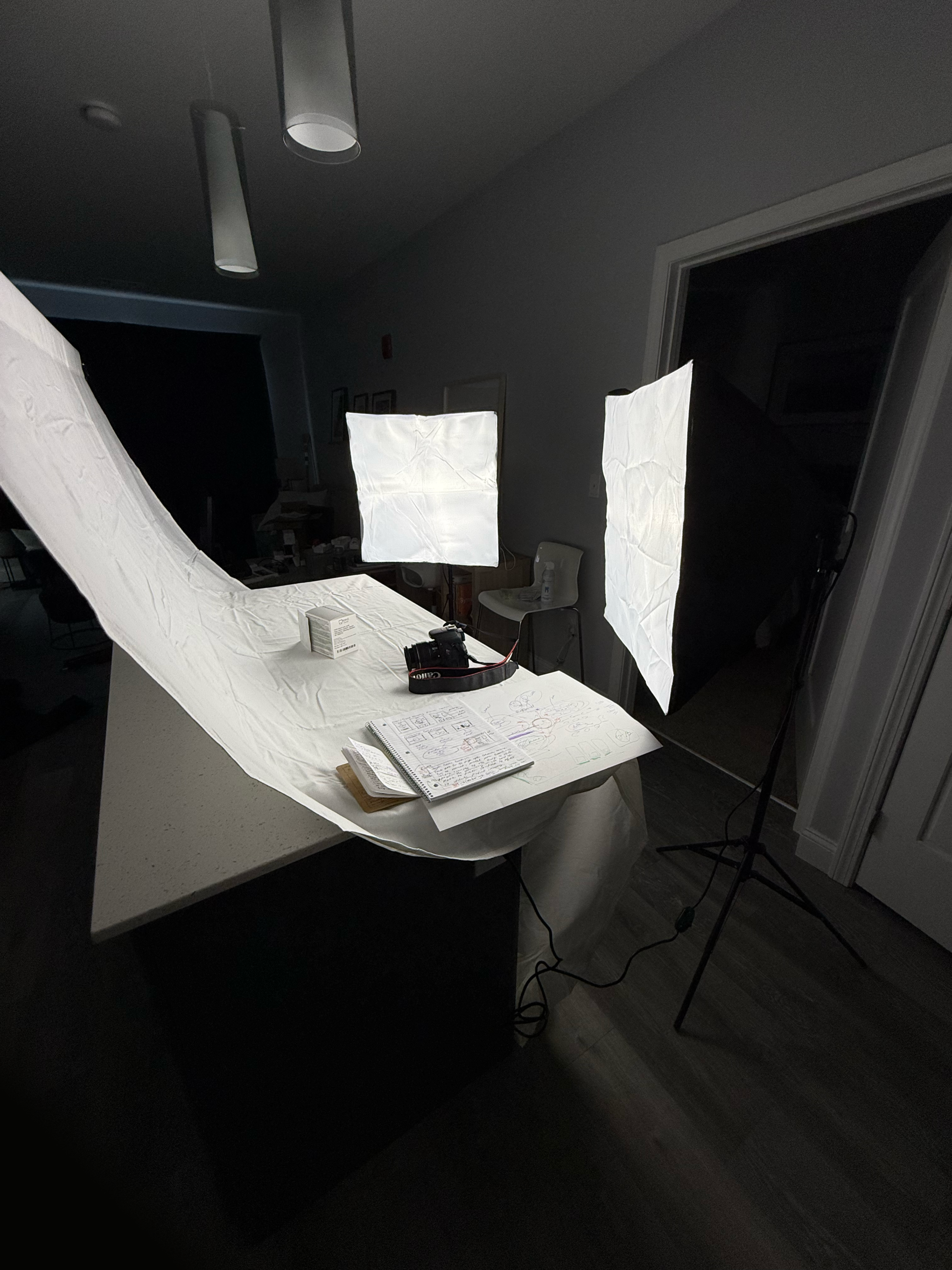 The kitchen is now a photo studio